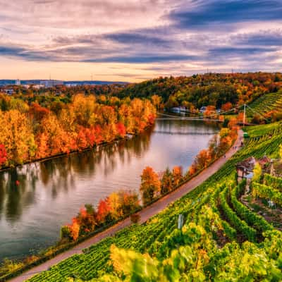 Stuttgart Freiberg Vineyard Views, Germany