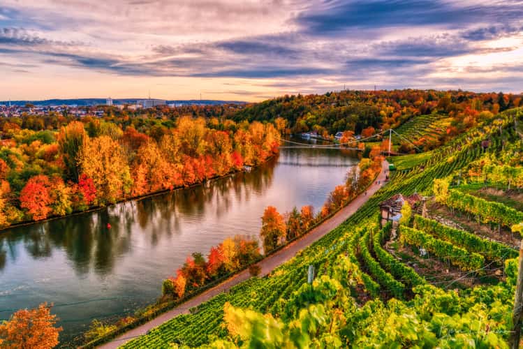 Stuttgart Freiberg Vineyard Views