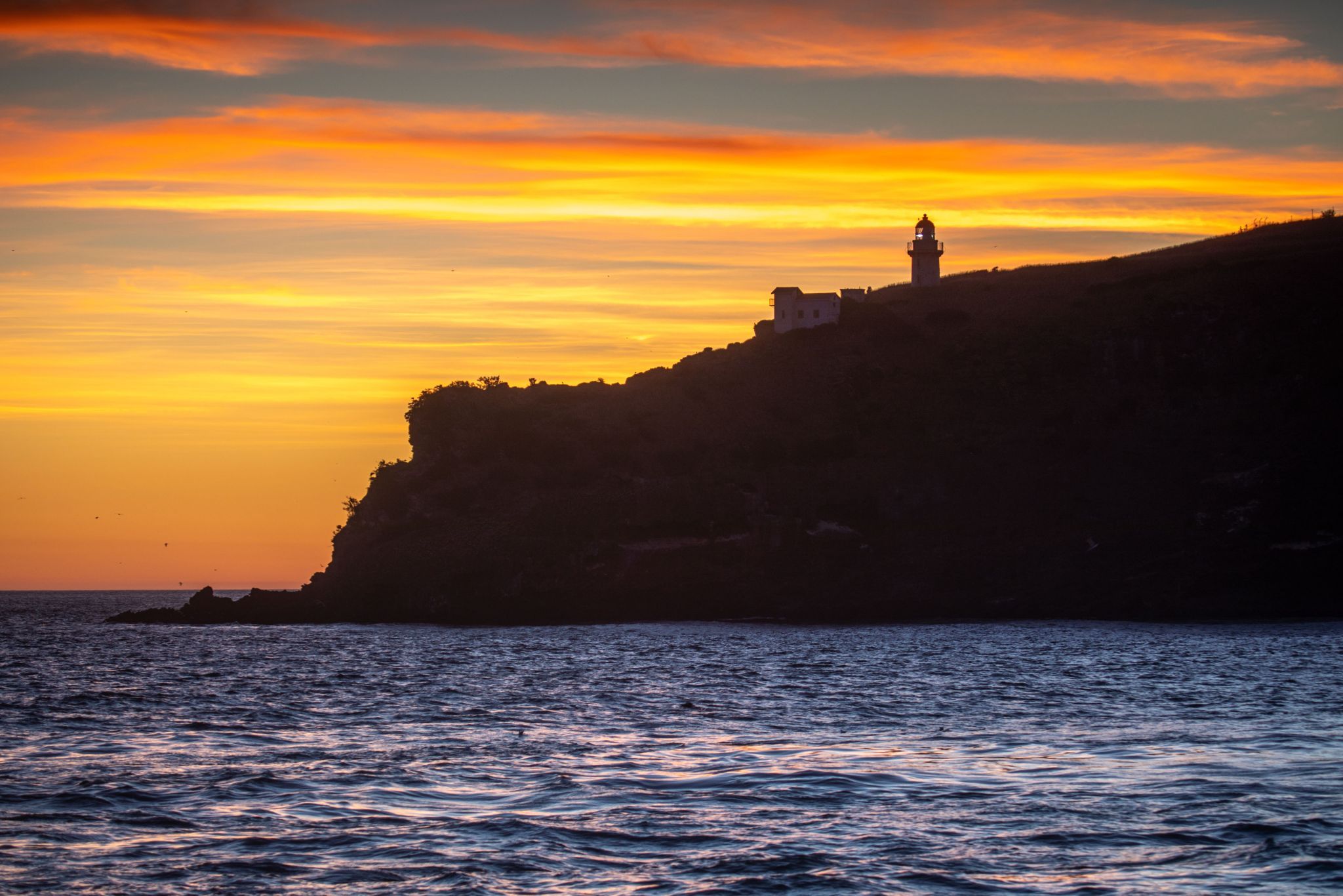 Taiaroa Head Lighthouse sunrise Dunedin South Island, New Zealand
