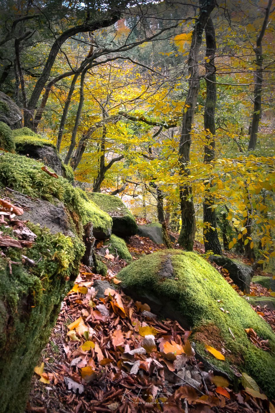 Teufelsknochen, Germany