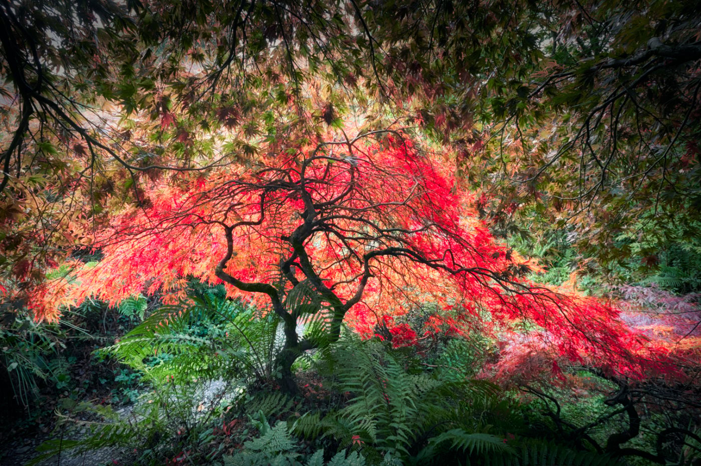 The Garden House, United Kingdom
