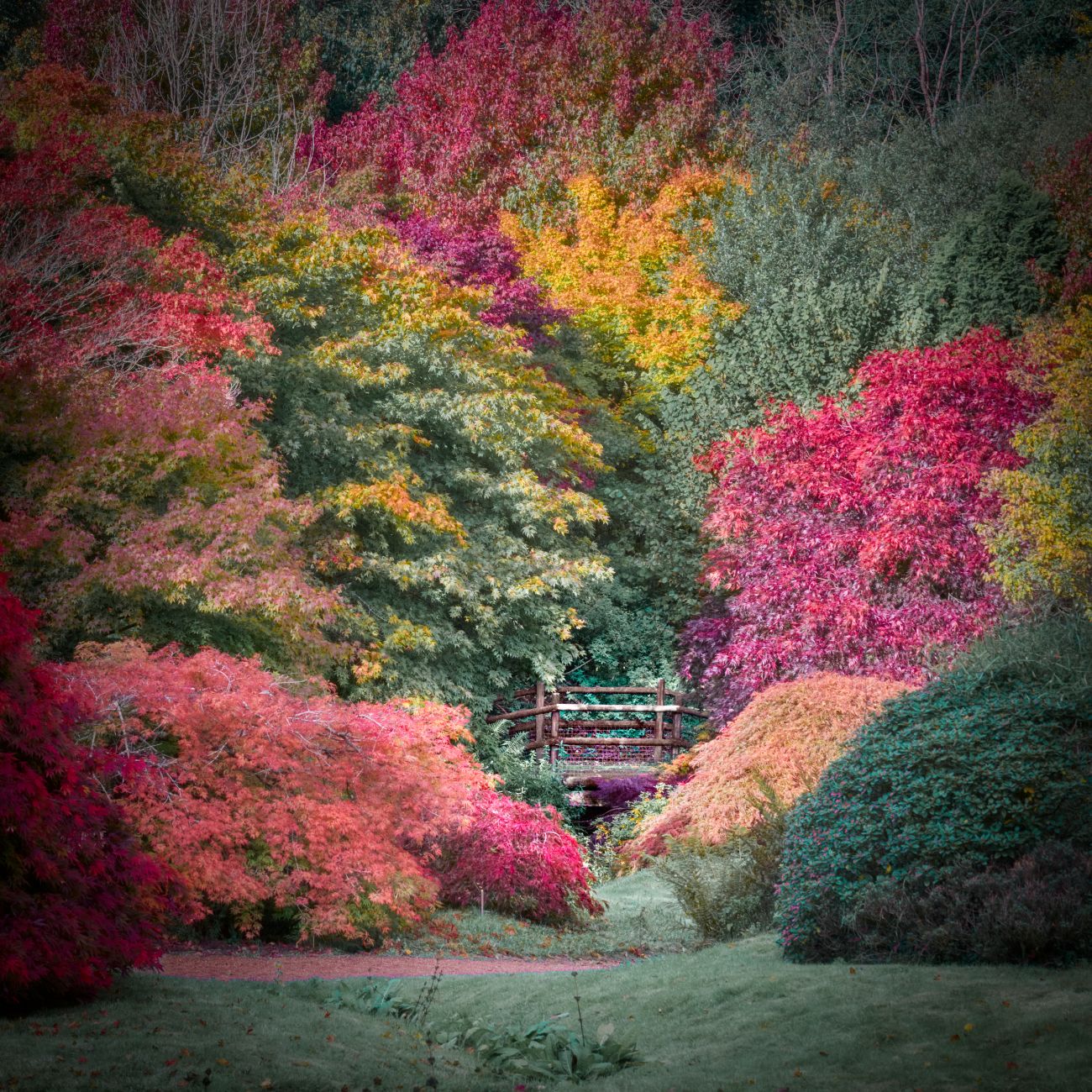 The Garden House, United Kingdom