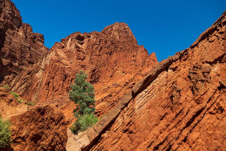 Tianshan Canyon, Xinjiang, China, Chinese silk road