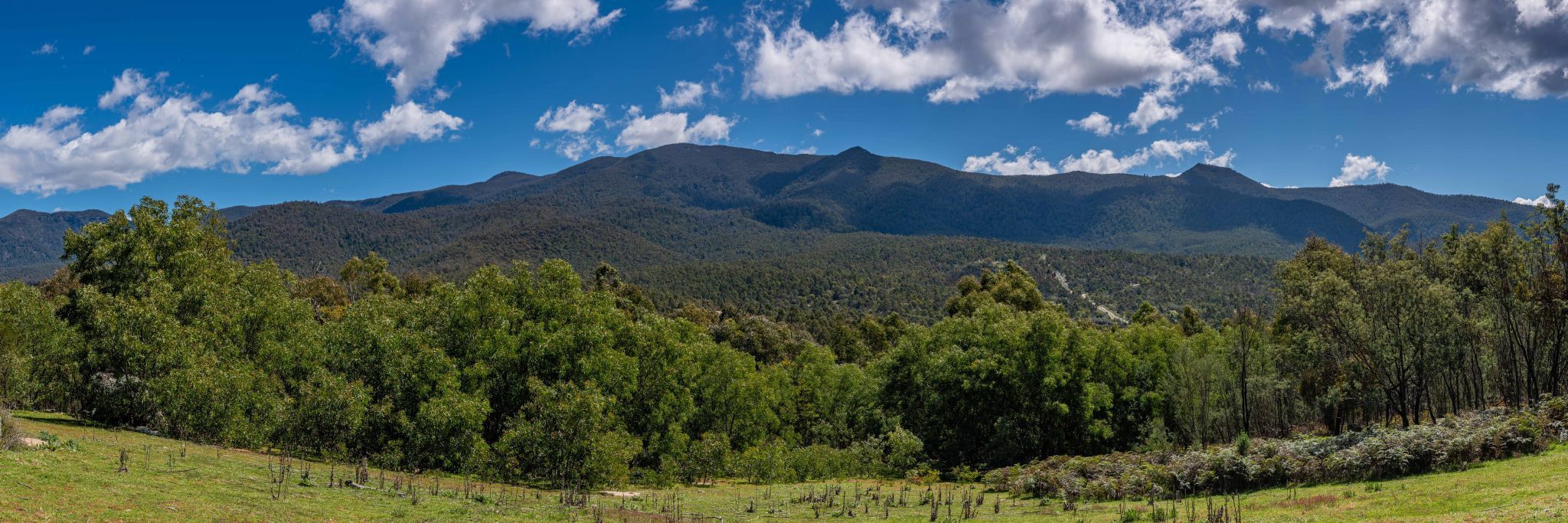 Tidbinbilla Nature Reserve, Australia