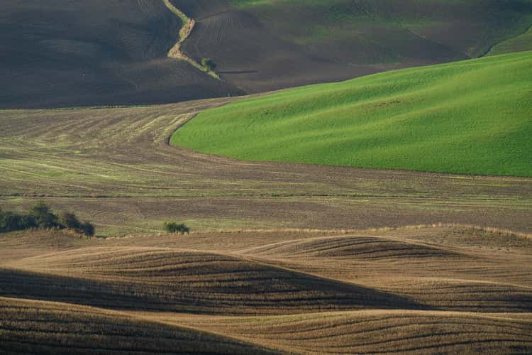Tuscany Green peace