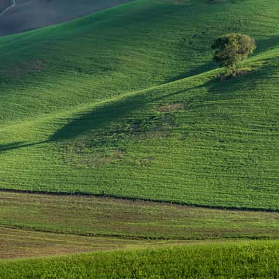 Tuscany Green peace, Italy