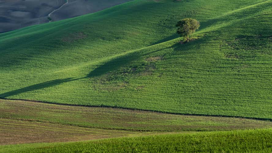 Tuscany Green peace