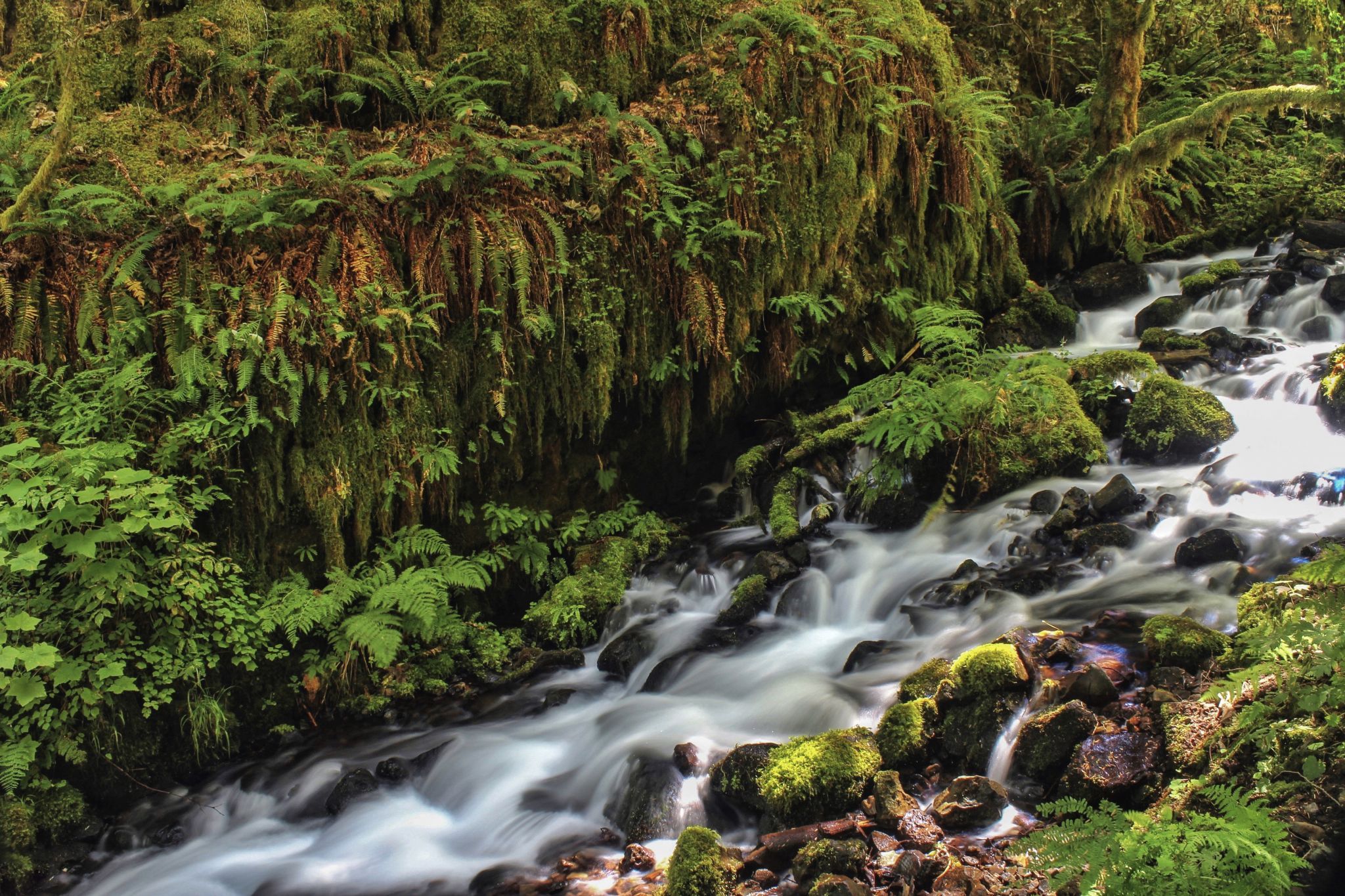 Wahkeena Creek Cascade, USA