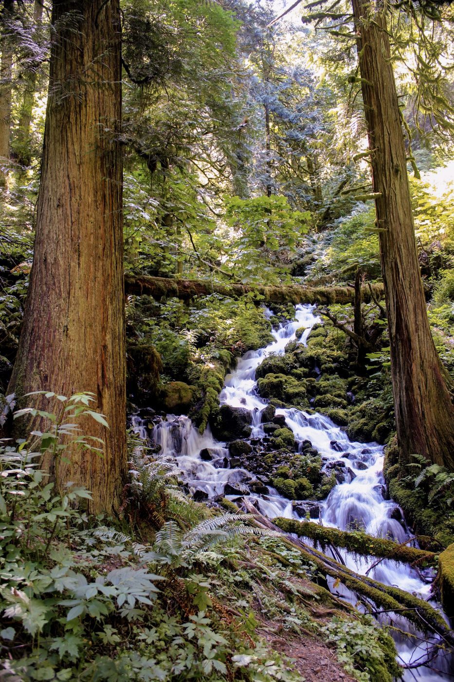 Wahkeena Creek Cascade, USA