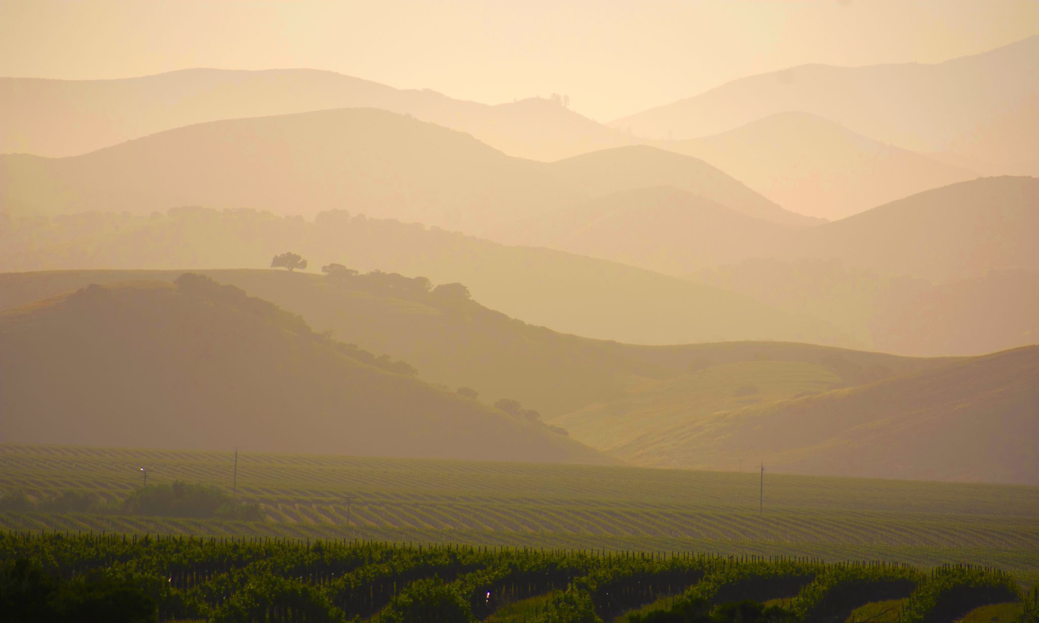 Wine Country, USA
