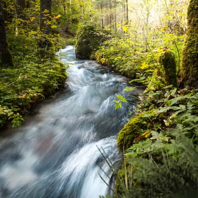 Zauberwald, Germany