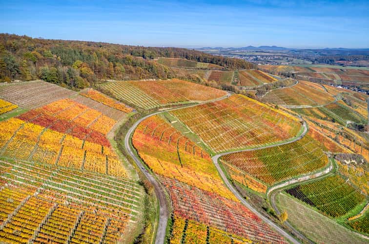 Ahrweiler vineyards