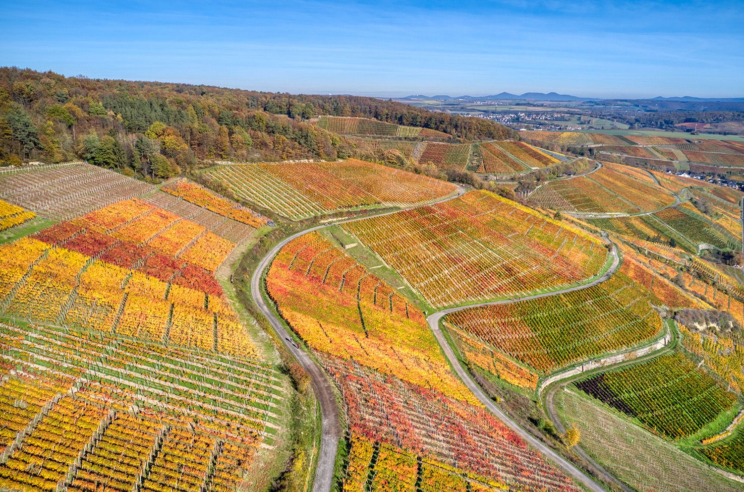 Ahrweiler vineyards, Germany