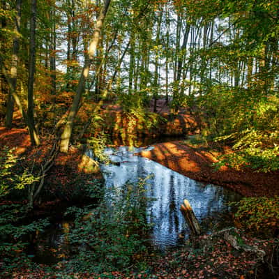 Am Eitingmühlenbach, Germany