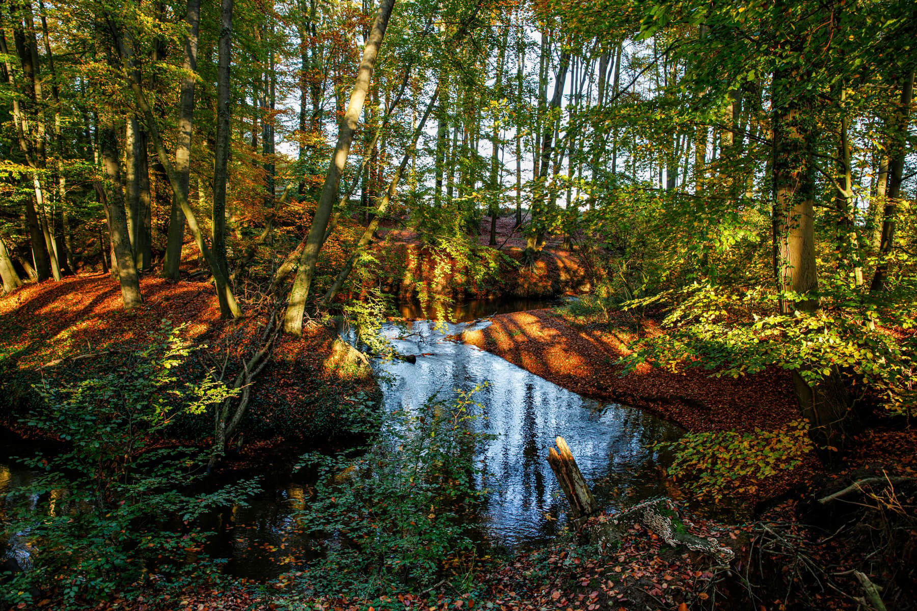 Am Eitingmühlenbach, Germany