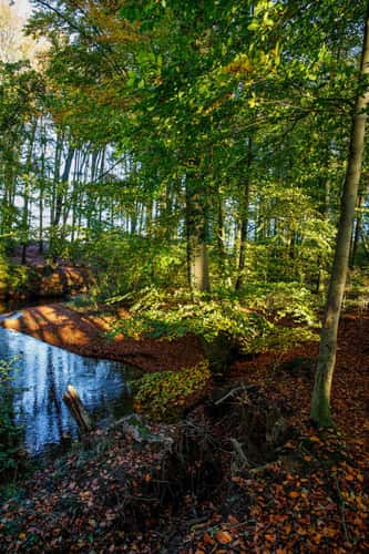 Am Eitingmühlenbach