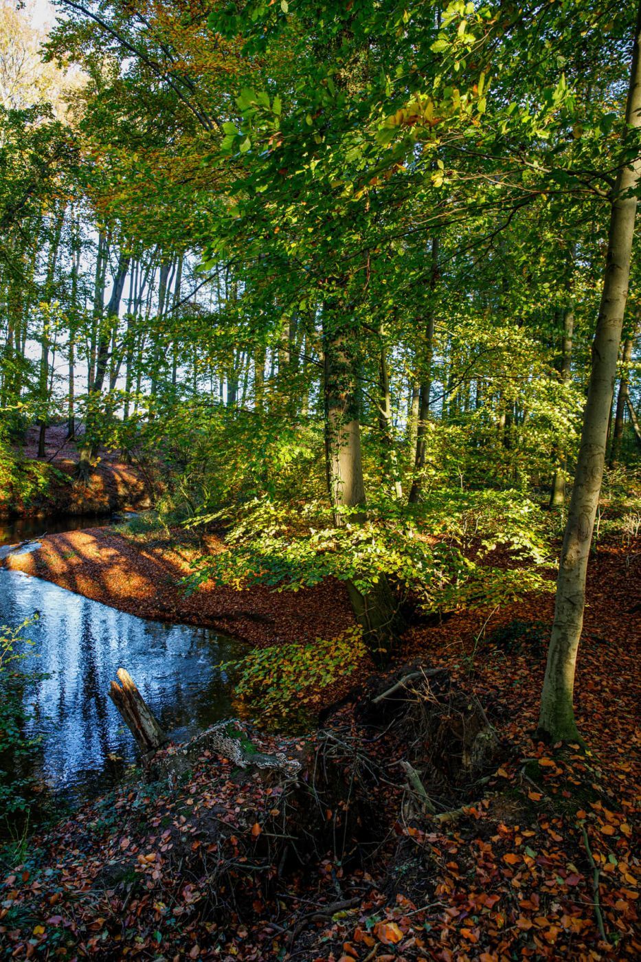 Am Eitingmühlenbach, Germany