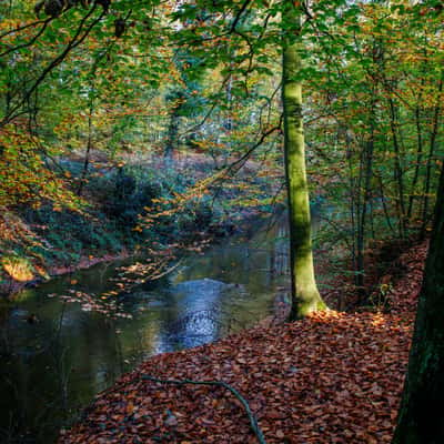 Am Eitingmühlenbach, Germany