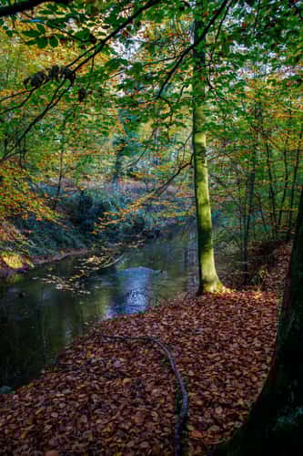 Am Eitingmühlenbach