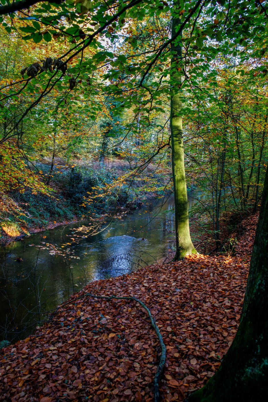 Am Eitingmühlenbach, Germany
