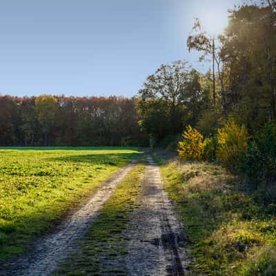 Am Eltingmühlenbach, Germany