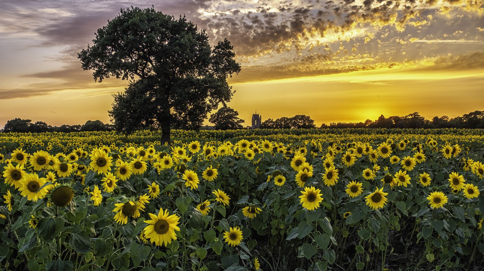 Becketts Farm, United Kingdom