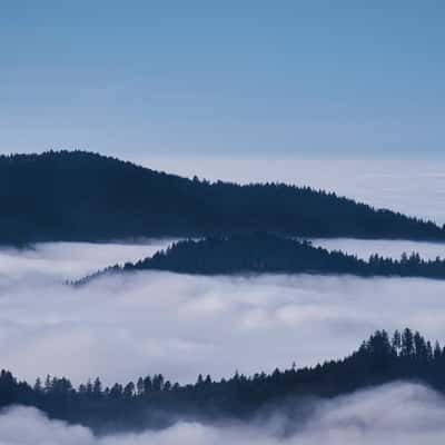 Black Forest, Germany