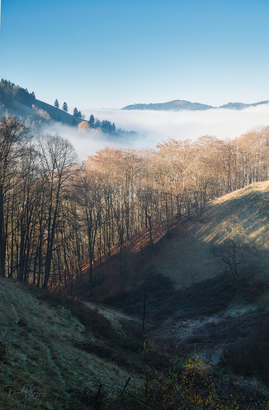 Black Forest, Germany