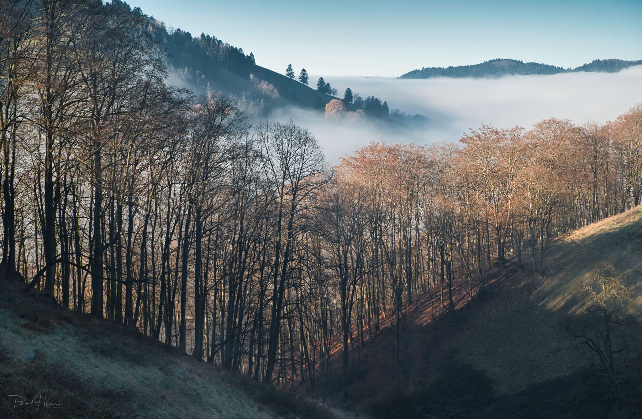 Black Forest, Germany