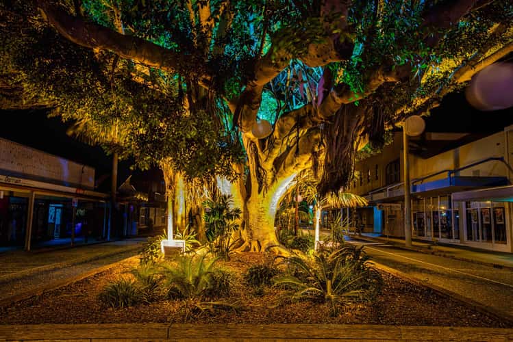 Blue hour Sawtell Main street North Coast NSW