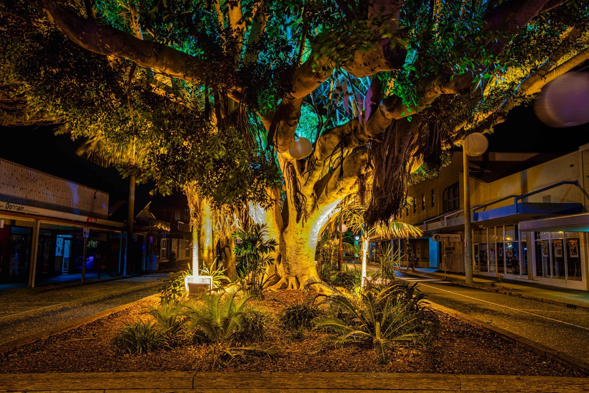 Blue hour Sawtell Main street North Coast NSW, Australia