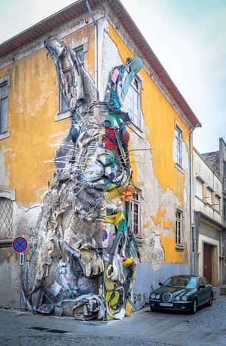 Half Rabbit, Porto