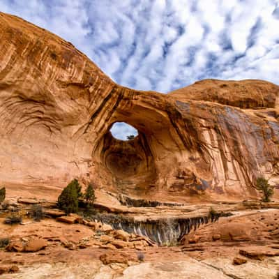 Bow Tie Arch, USA