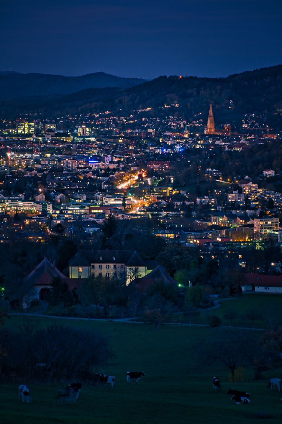 BreisgauView, Germany