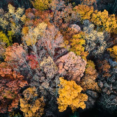 Central Park of Morris County, USA