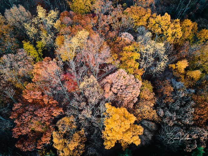 Central Park of Morris County