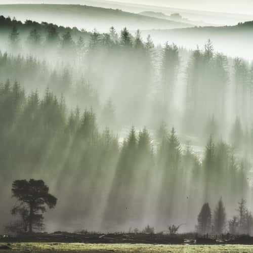 Dartmoor