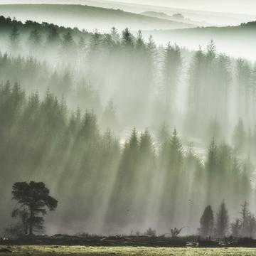 Dartmoor, United Kingdom
