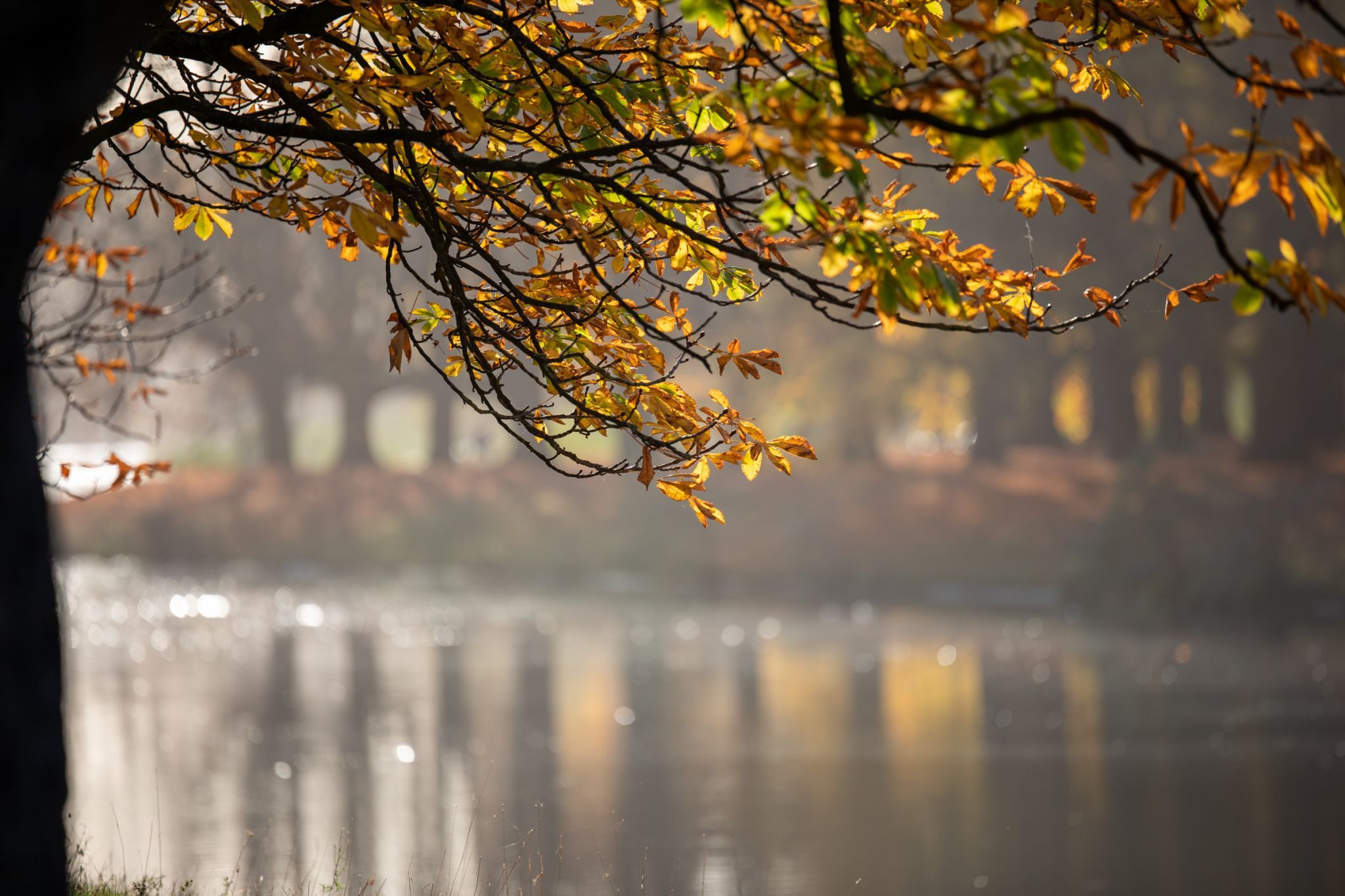 Decksteiner Weiher, Cologne, Germany