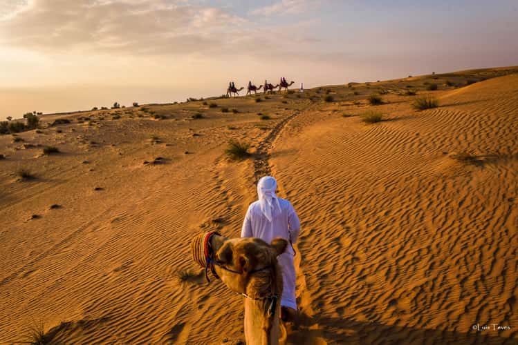 Desert Safari