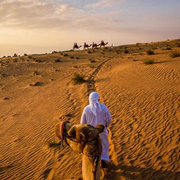 Desert Safari, United Arab Emirates