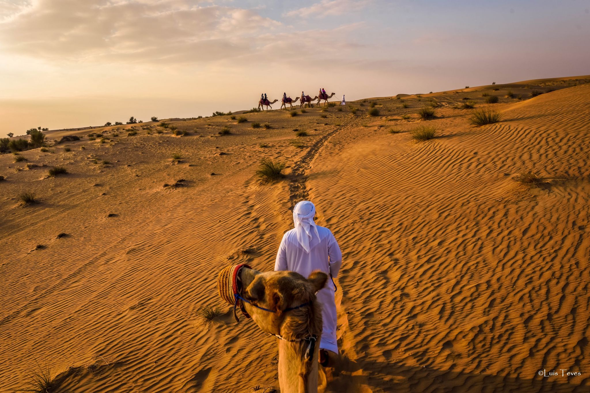 Desert Safari, United Arab Emirates