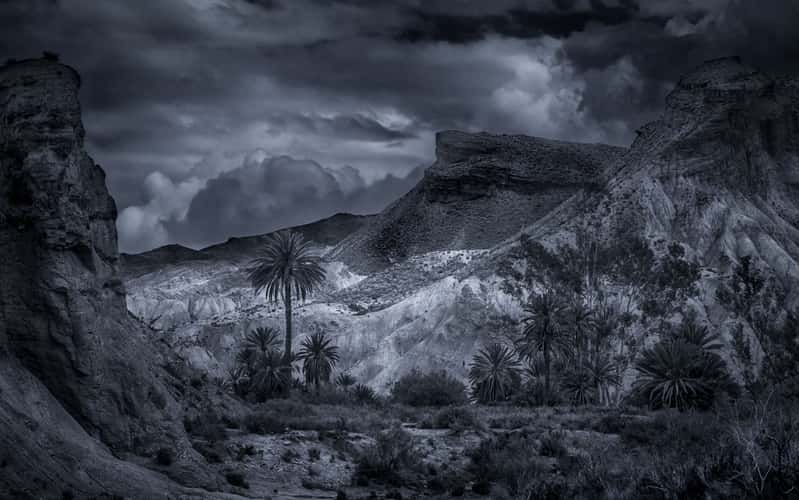 Dry riverbed near Tabernas