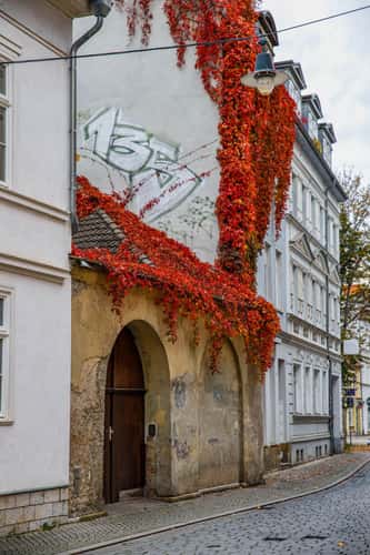 Erfurt Michaelisstraße