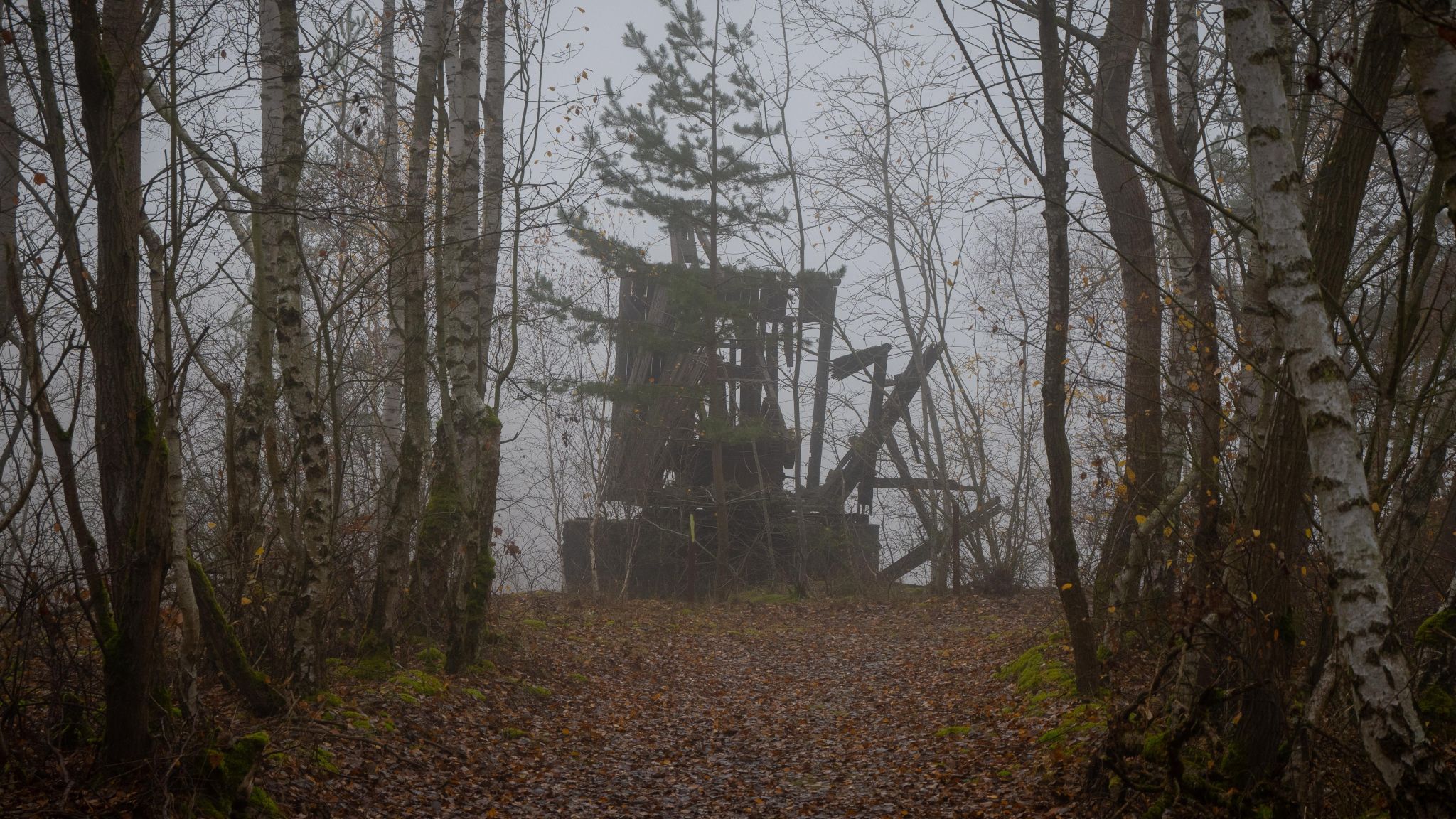 Ettringer Ley, Germany