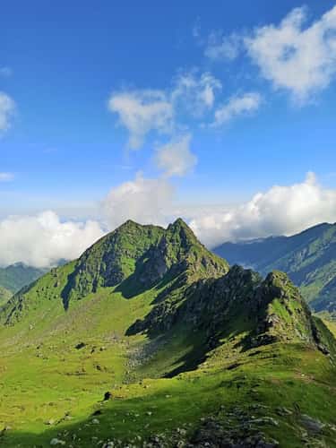 Fagarash