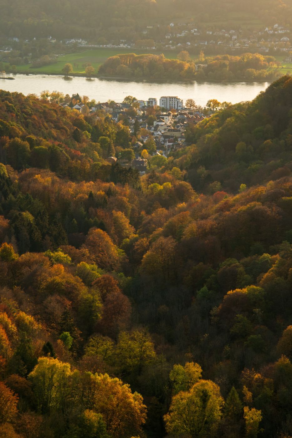 Geisberg in the Siebengebirge, Germany