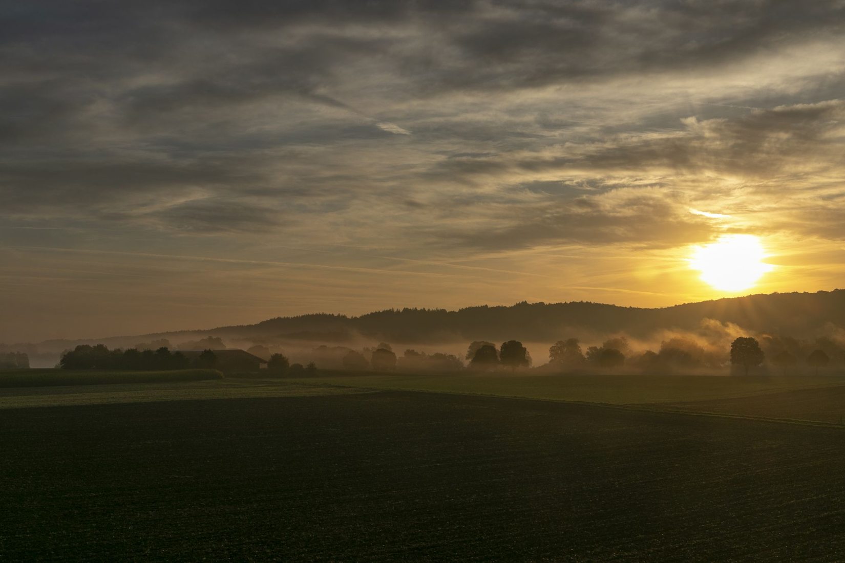 good-morning-germany