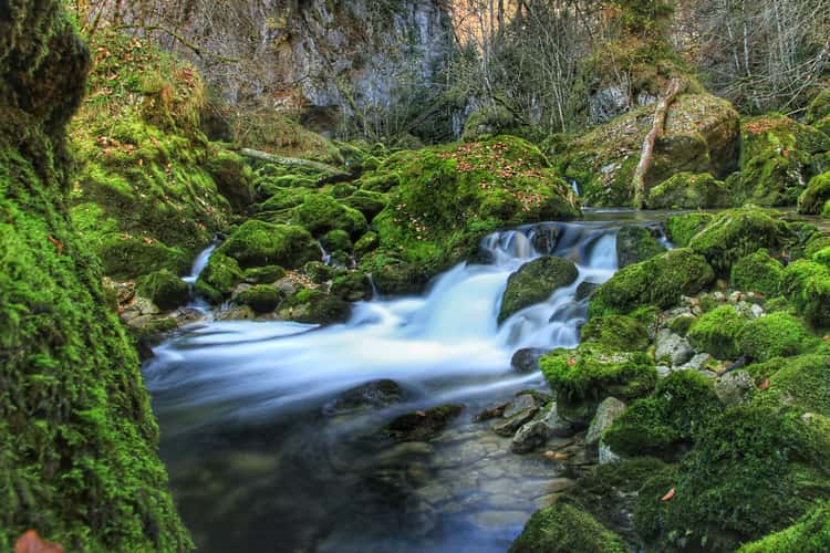 Gorges de l'Orbe