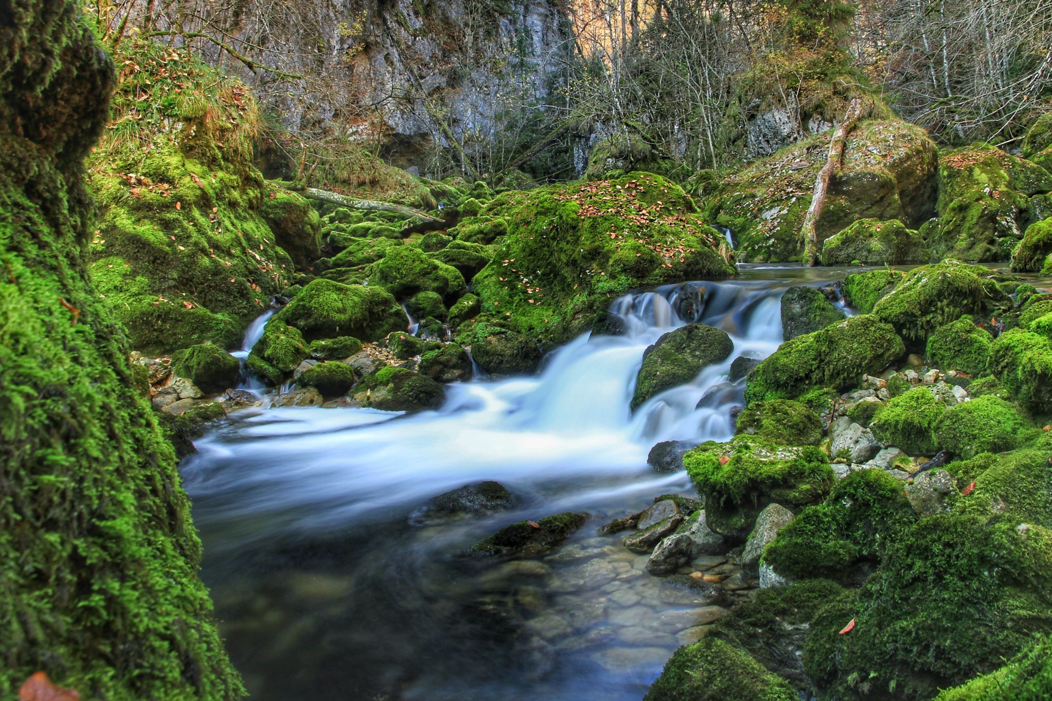 Gorges de l'Orbe, Switzerland
